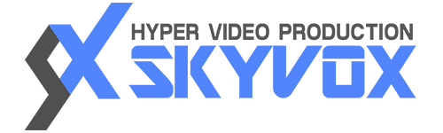 SkyVoxロゴ