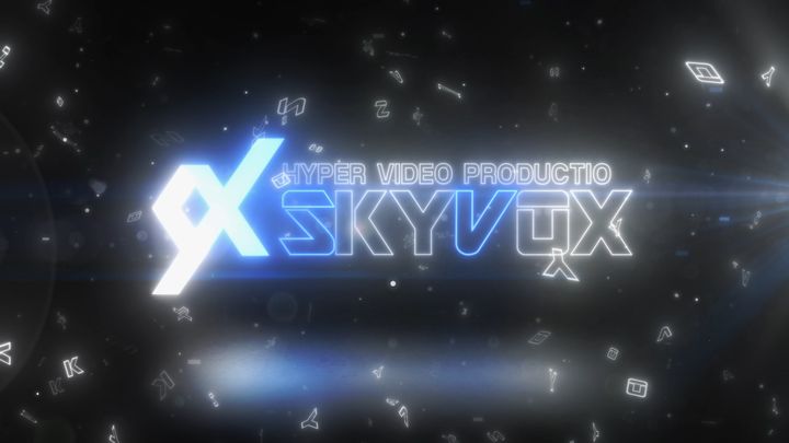 SkyVox会社概要2020